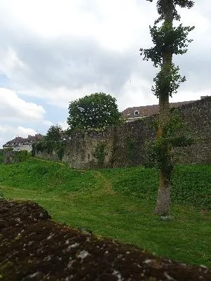 Château Guillaume Le Conquérant à Falaise