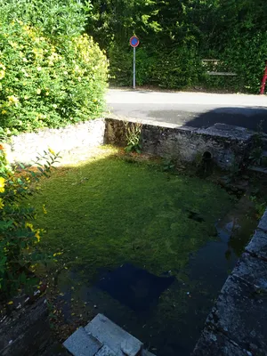 Lavoir Saint-Martin à Vieux