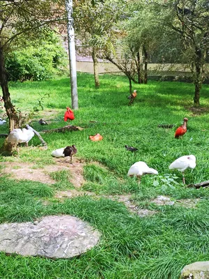 Zoo de Cerza à Hermival-les-Vaux
