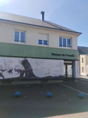 Musée du Fossille à Lion-sur-Mer