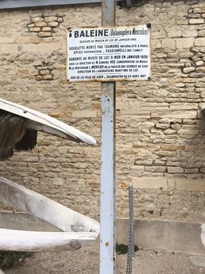 Maison de la Baleine à Luc-sur-Mer